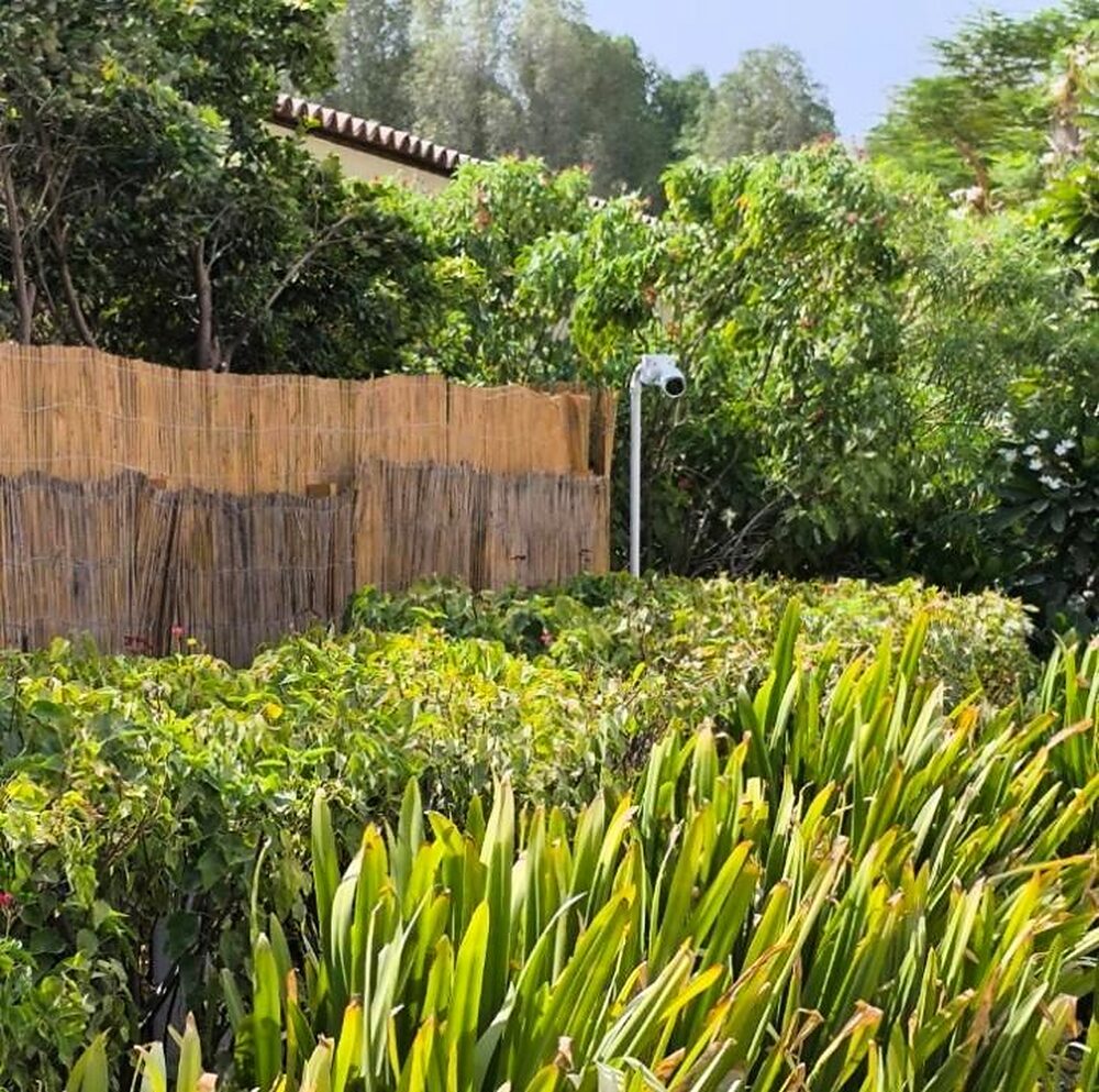 A camera on a pole covering a villa garden boundary in Dubai