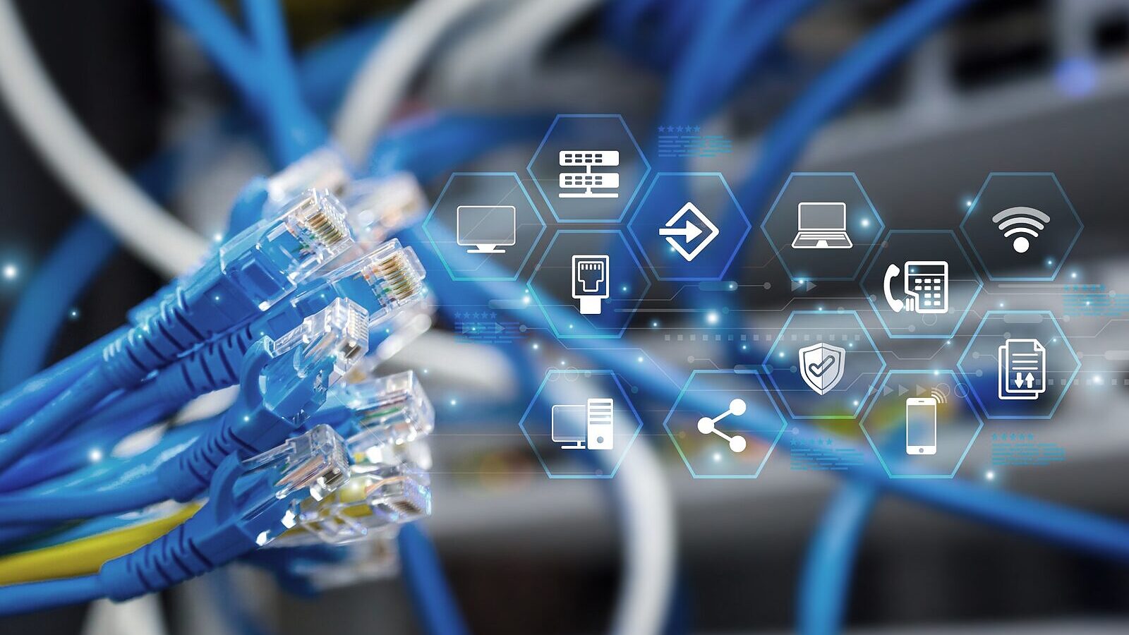 Network cables patched into a switch